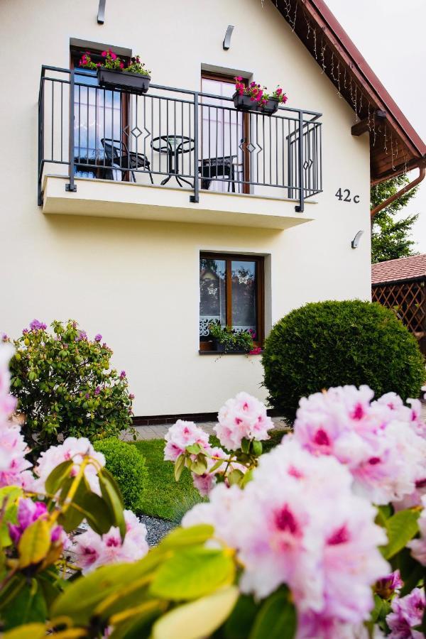Apartamenty Pod Cisem Kudowa-Zdrój Exterior foto